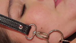 3 Naughty Lesbians in the Game! Hot Wax on the Ass, Dildo in the Dirty Pussy and Lots of Moaning