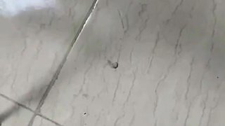 Stepfather Fucks Stepmother and Stepdaughter, Real Homemade