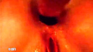 Hardcore Couple Fucking On The Couch, He Puts His Big Cock In Her Ass And Fucks Her Really Hard