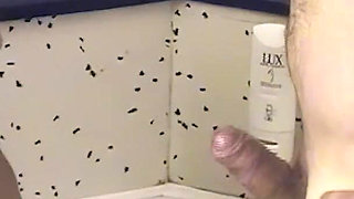 Pissing on Each Other and Longest Golden Shower