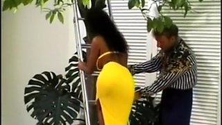 Delight of brazilian brunette fucking in the garden of the house