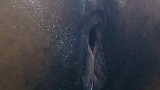 Curvy Booty Queens with Huge Ass Energy