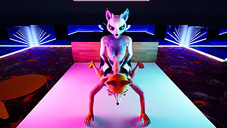 Foxes having fun in an unusual pose