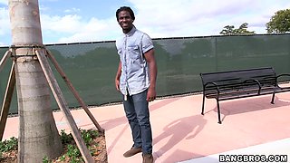 White pornstar loves black dick