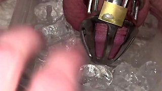 Rod Hasn’t Been Very Obedient Lately so as a Punishment