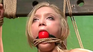 Little Whore Thinks She Is A Model! - Majestical: Blowjob, Babe  Blonde Porn