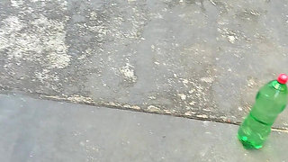 Submissive Pet Agility Challenge