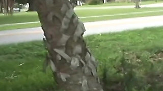 Wild Funny and Extremely Risky Public Nudity