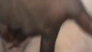 Bbwbootyful BBC Nata4sex fingering my fat pussy spanking my booty