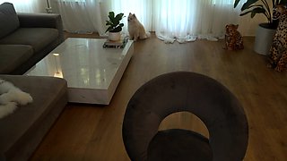 Busty curly brunette with big boobs fucks on couch