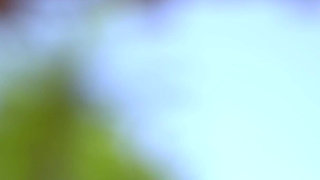 My Wife, a Hot and Insatiable Italian Slut (part 23