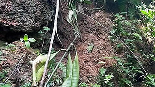 Home made butt plug dildo fucking outside the house stilankan mom