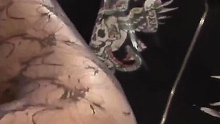 Lingerie Clad Brunette Passion B Fucks With Man While Husband Watches