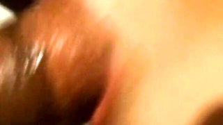 Rough doxie's vintage clip