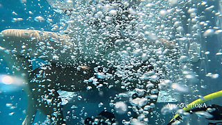 Goldenshower and Underwater Sex with Amuse De Rauch