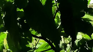 Hot Amateur Girls Get Cumshot Facial Style Pov