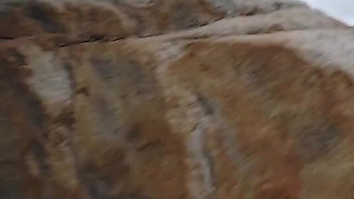 Hairy Pussy Peeing Along Side a Busy Road