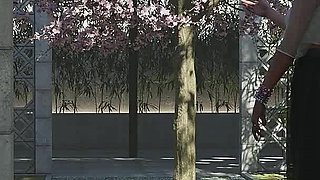 Paradise City: Married Couple on Perverted Sex Island - Episode 1