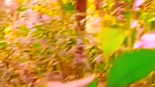 Outside the Jungle, a Booty Teacher Had Sex with a Huge Cock Student