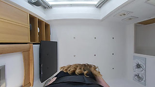 Honour May Face Sitting Domme