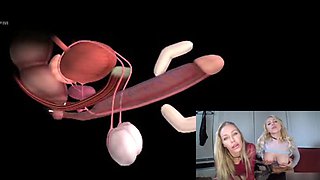 Explaining the Anatomy of a Male Orgasm. Educational JOI