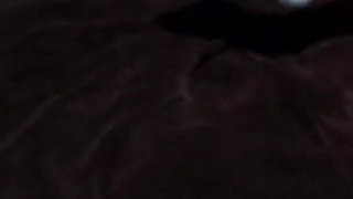 I Wanted to Be a Porn Star