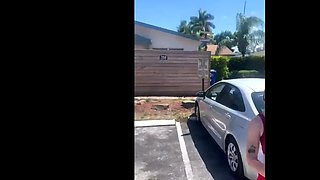 Sidney Summers Fan Bus Porn