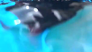 Pool Video 2026 Part 1
