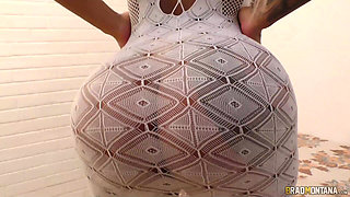 The Newbi Bibi Grifo