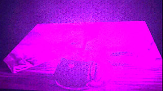 Coffee cum CEI for beginners