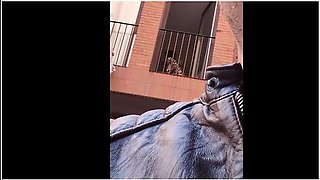 Public Nudity Compilation - Pizza Delivery, Topless Beach, Teasing Friend