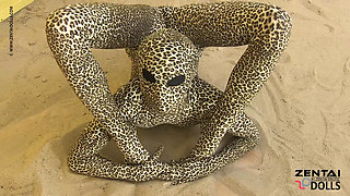 Contortion Show