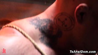 Tranny punishes bound muscle stud