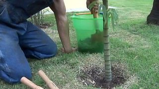 DVD Voyeur The Stripper of your dreams...Rachel Blanc: Babe, Big Ass  Brunette Porn