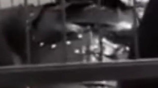 Iron Cage Breathing Control