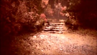 Passionate Impulse inside the night_171027p0002