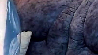My Ass Is Being Fucked by a Big Cock It Hurts but I Love Fucking Me Too