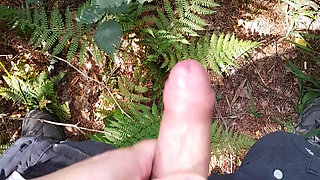 Quick jerk and cumshot in the woods