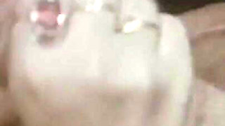 Moana and Her Career Slut Friends Suck Cocks and Take Them in All Their Holes