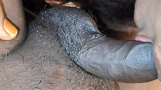 Cal Boy Sucking Dick Fucking in Harika Telugu