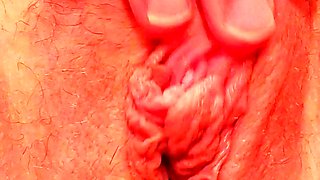 Amateur blowjob close up