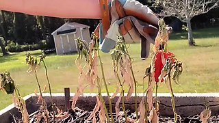 Jayde Amateur Blonde Ftv girl Lingerie Panties