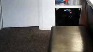 Black Girl Masturbates with Sex Toy and Squirts Hard