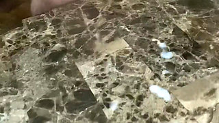 MILF and GILF Sluts Love Big Cocks and Cumshots