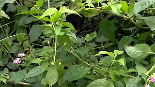 Let Go Out for Experience