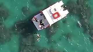 California Adventure - Lisi Parisi