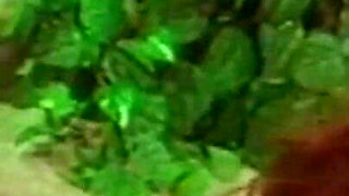 Seductive President Devours His Hot Brunette