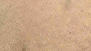 Foot fetish Handjob POV