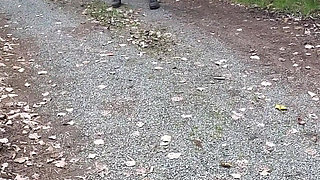 A Piss in the Middle of the Riding Stable.