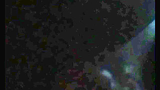 I Take My Sister-in-law at Dawn When She Rests